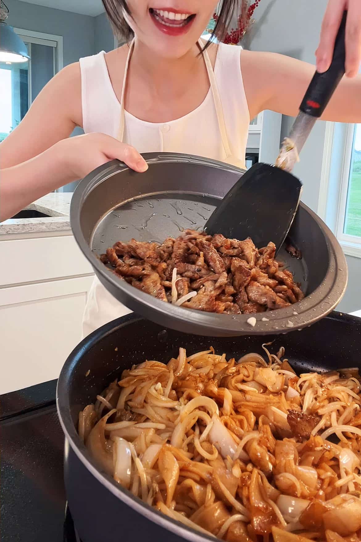 Beef Chow Fun (Stir-fried Rice Noodles with Beef Recipe)