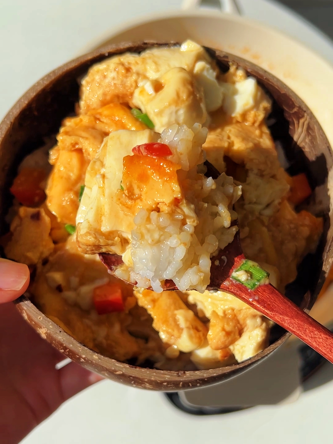 One-pot Egg Tofu
