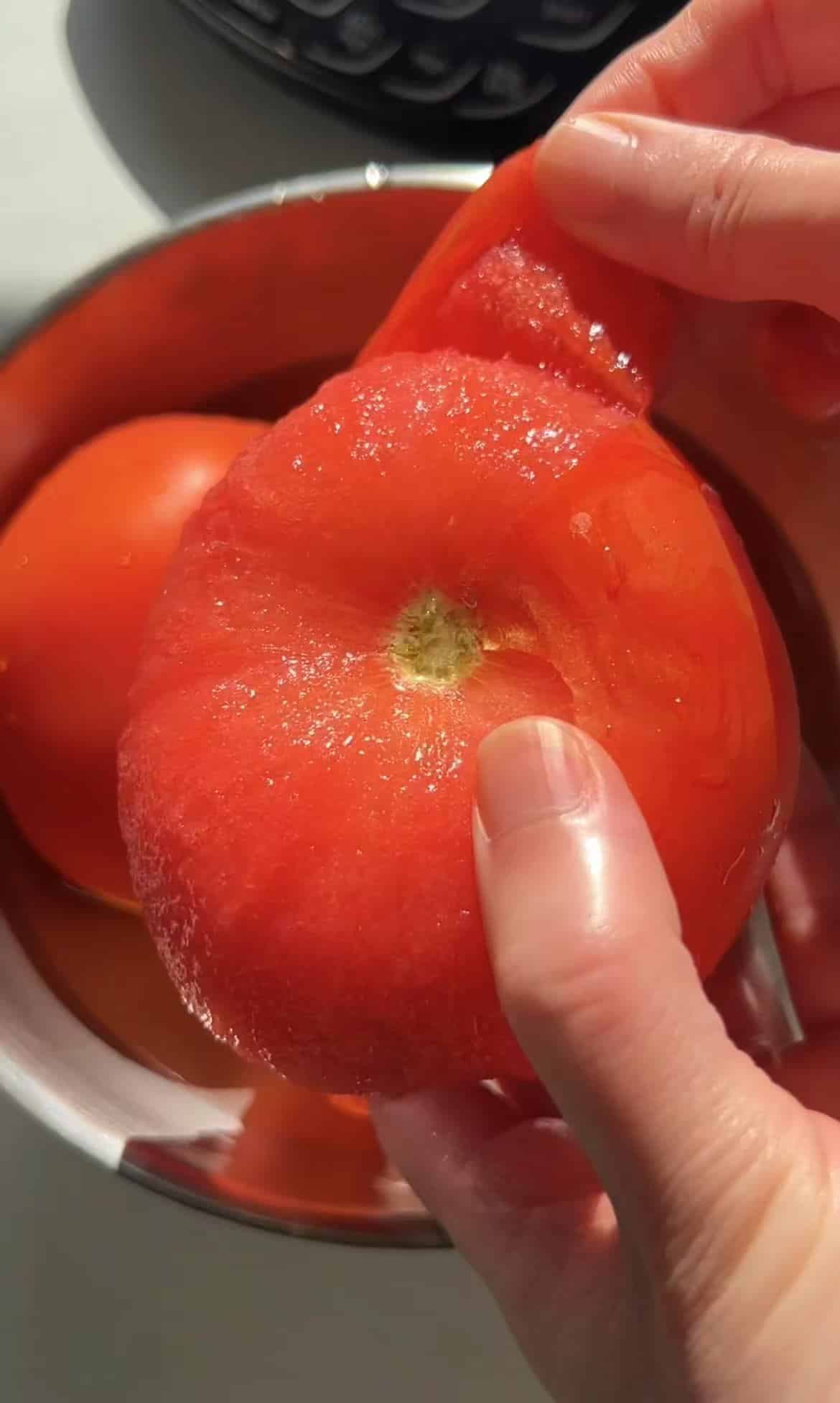 Tomato and Egg Noodles