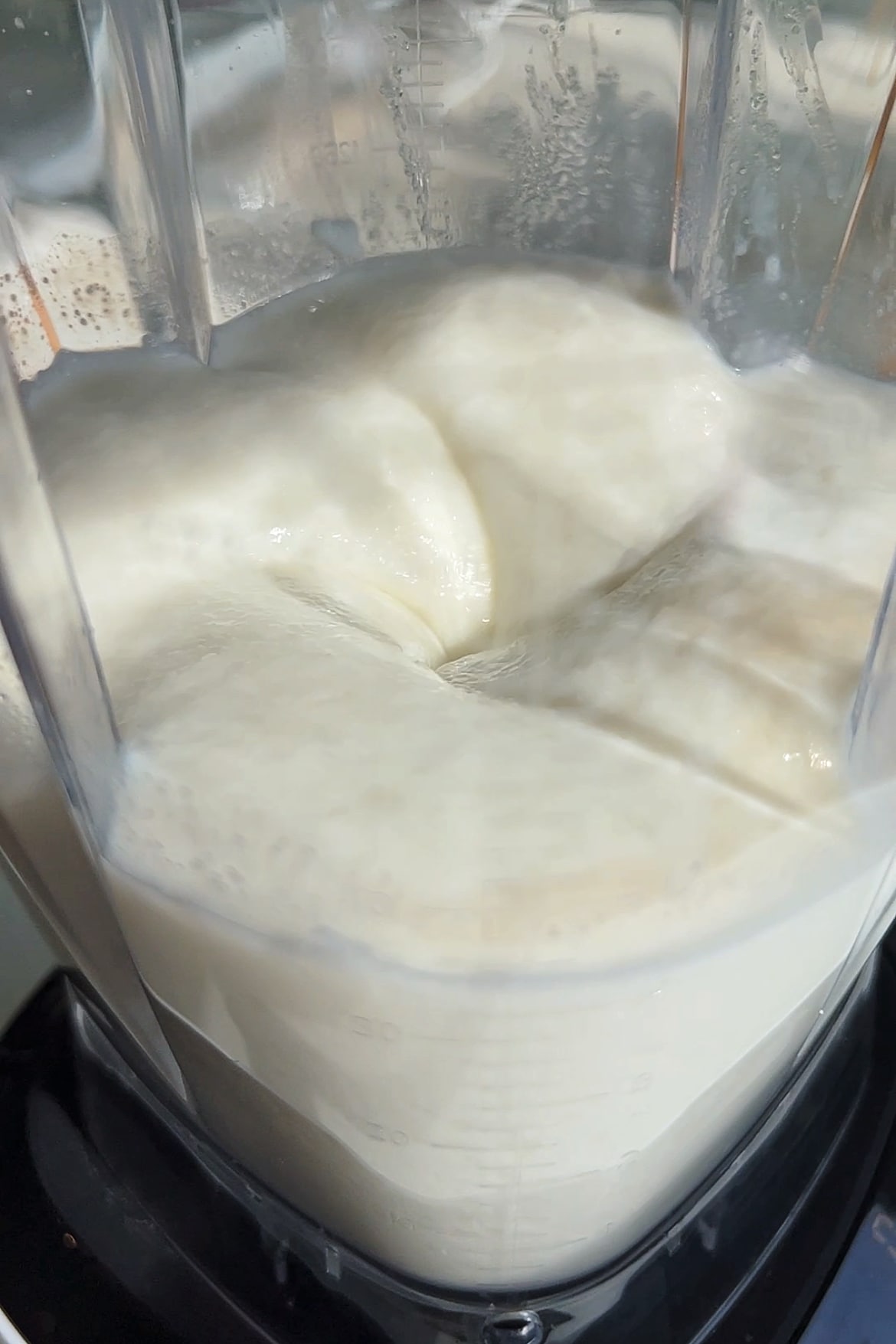 Rice Ice Cream