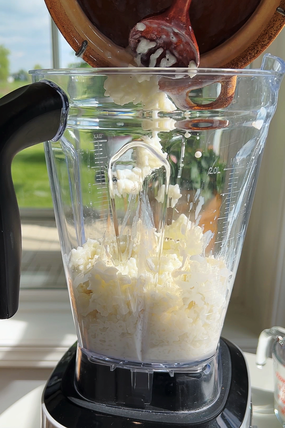 Rice Ice Cream