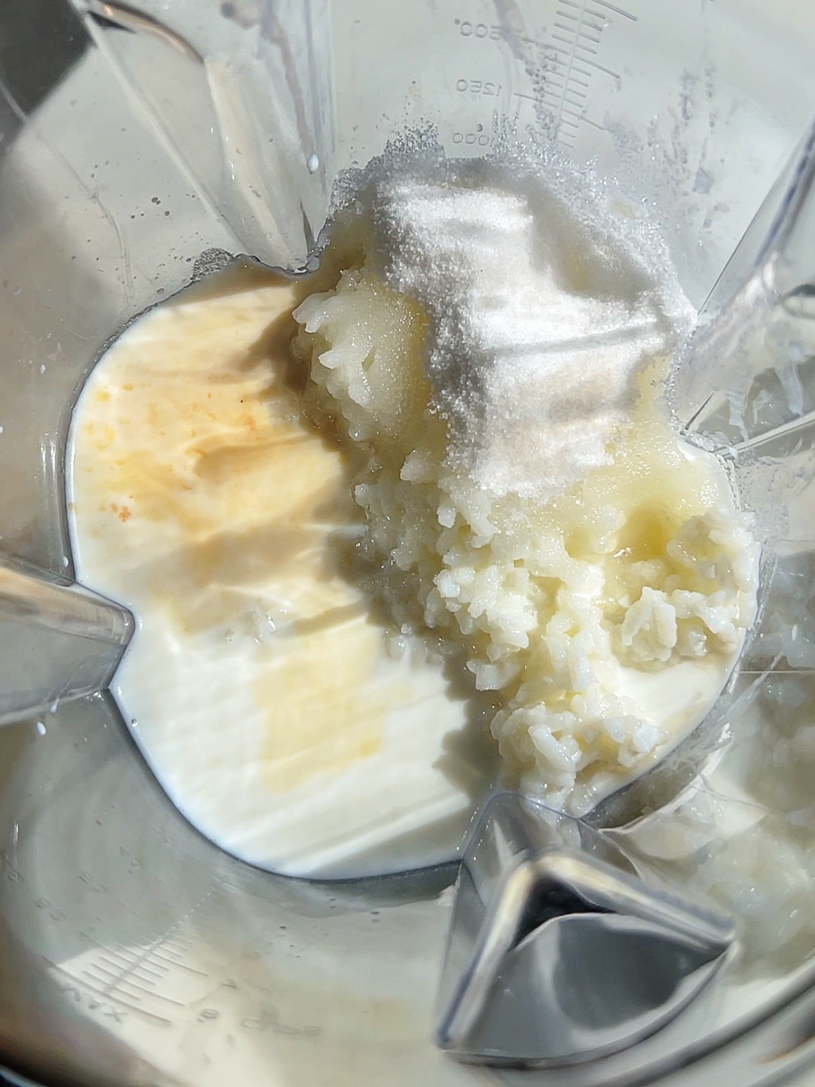 Rice Ice Cream