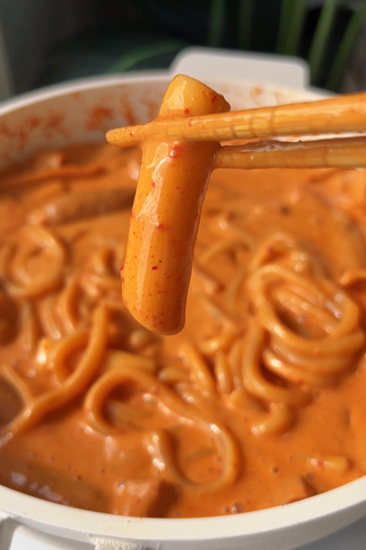 Rosé tteokbokki & Noodles