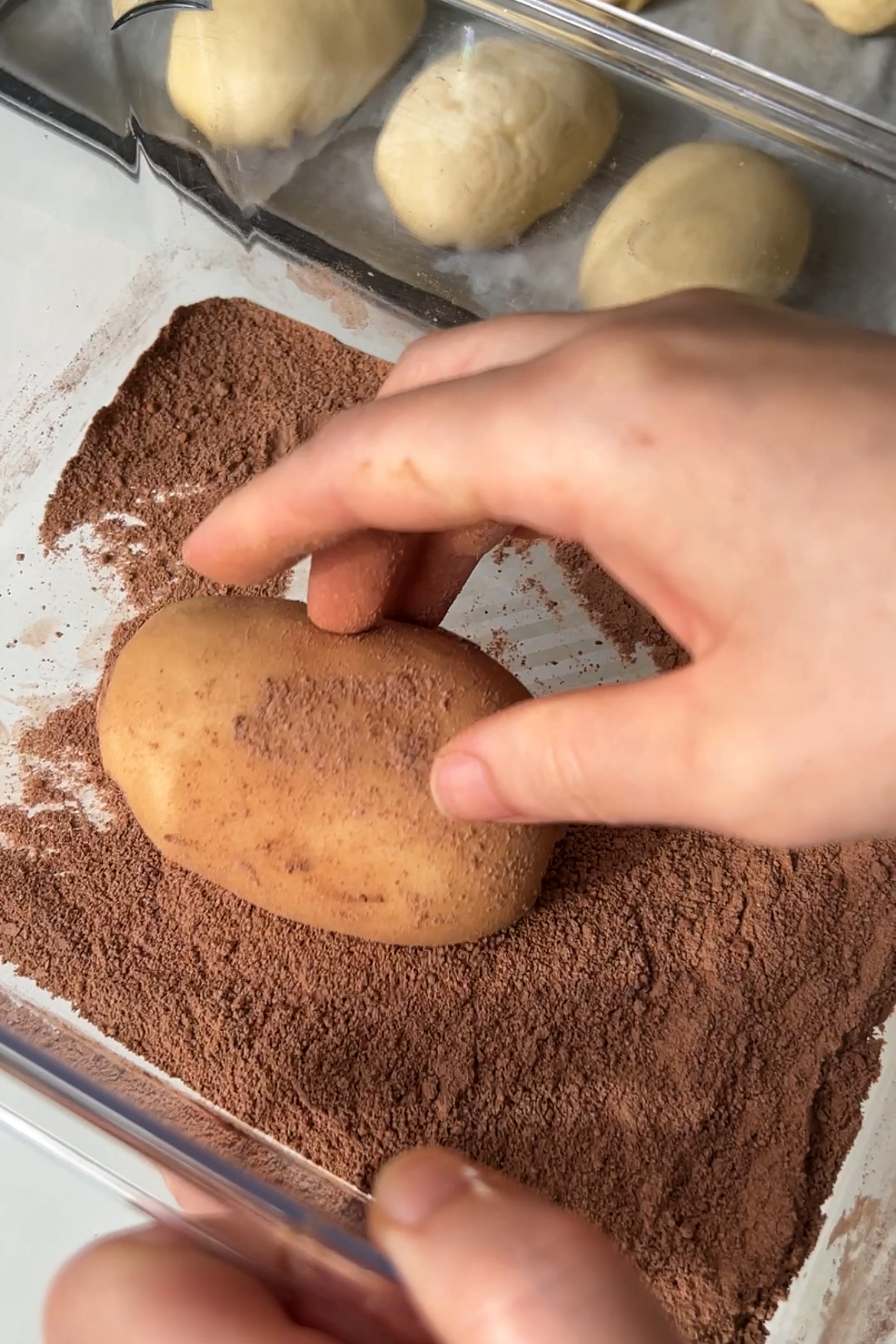 Potato Bread