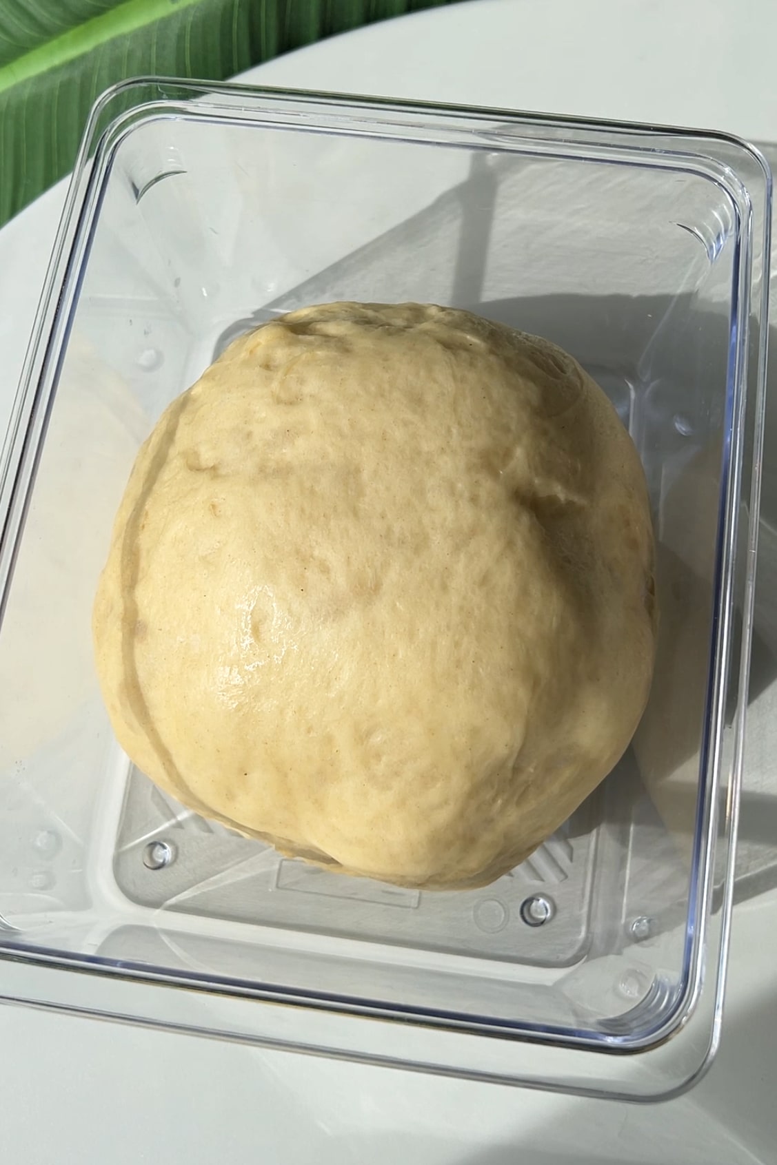 Potato Bread