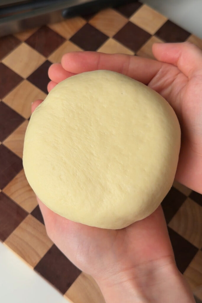 Closed Burger (with Homemade Burger Buns Recipe)